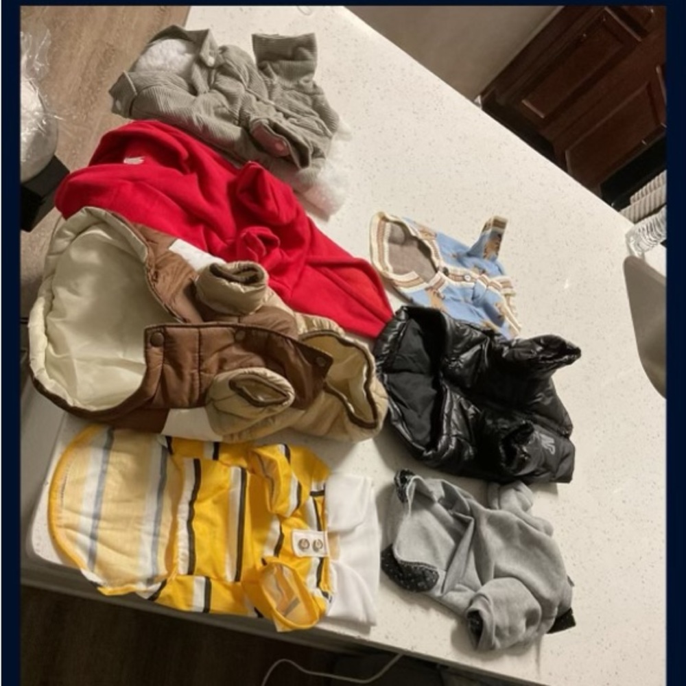 I bought my dog all these clothes from SHEIN but he got bigger and didn’t fit
